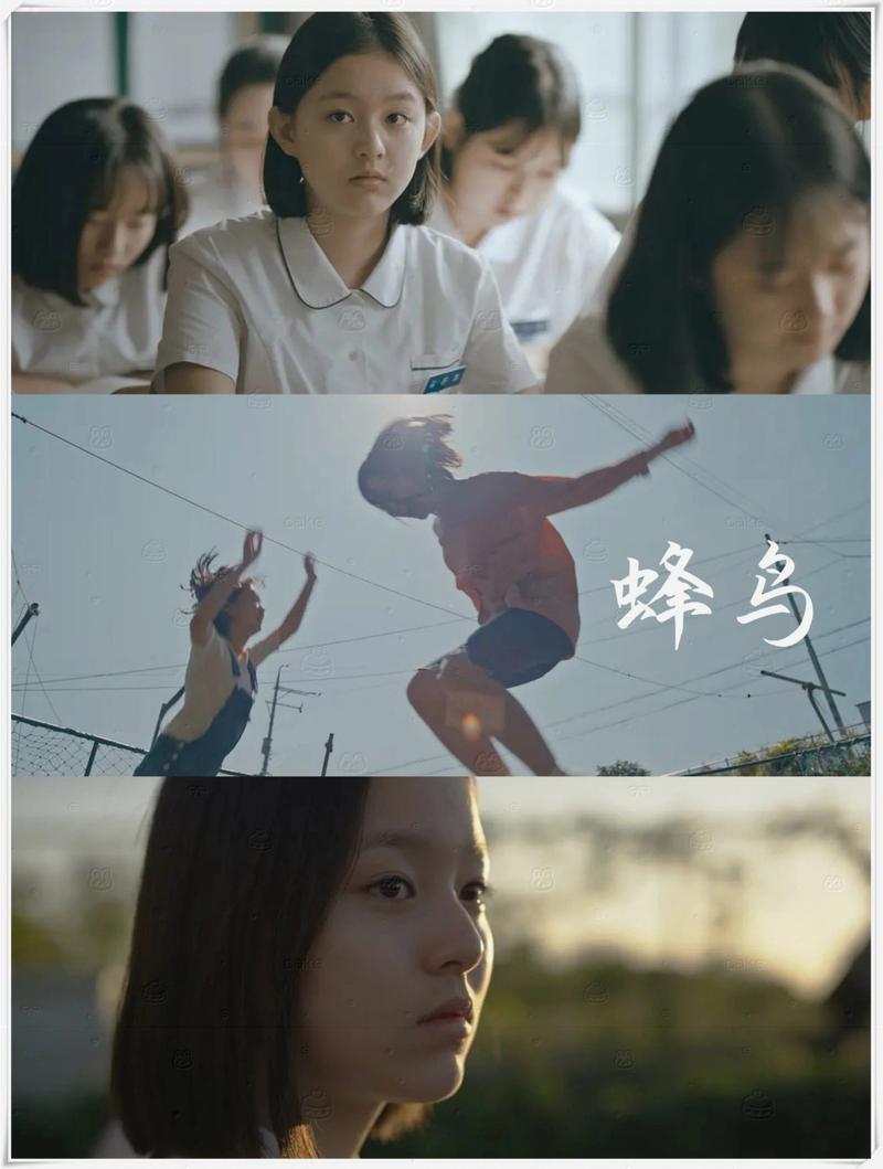 淘淘影院的相关介绍