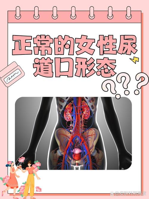 神马电影院老子午的相关介绍