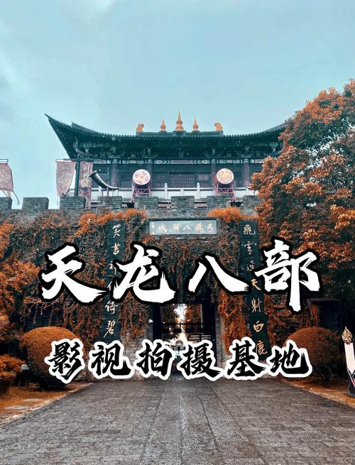 桃源影院网的相关介绍