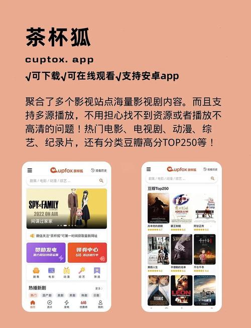 干少妇毛片的相关介绍